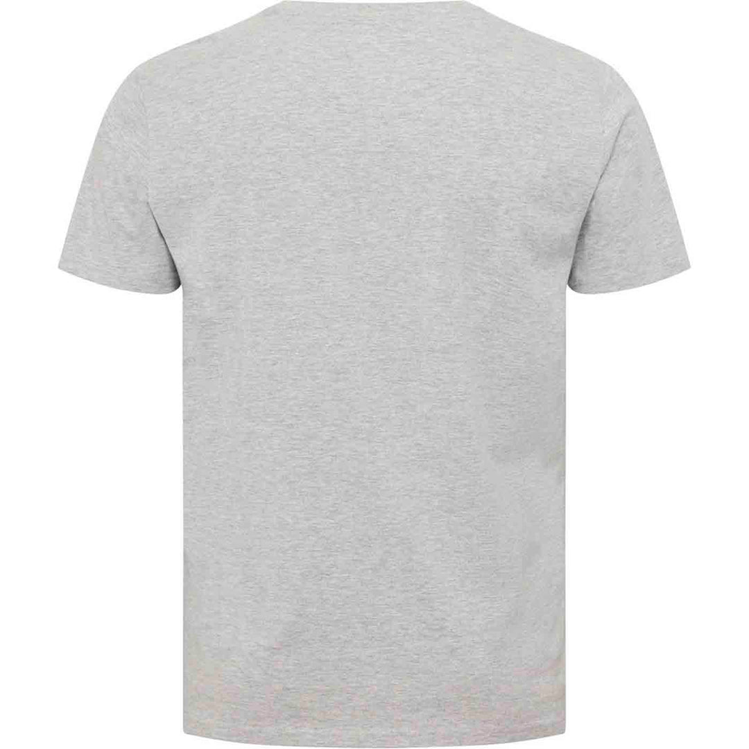 Rückansicht Everlast T-Shirt Übergröße Herren in hellgrau mit kurzem Arm und Rundhalsausschnitt