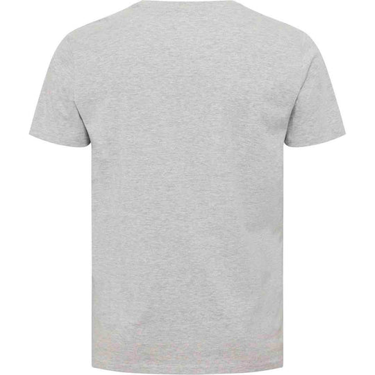 Rückansicht Everlast T-Shirt Übergröße Herren in hellgrau mit kurzem Arm und Rundhalsausschnitt