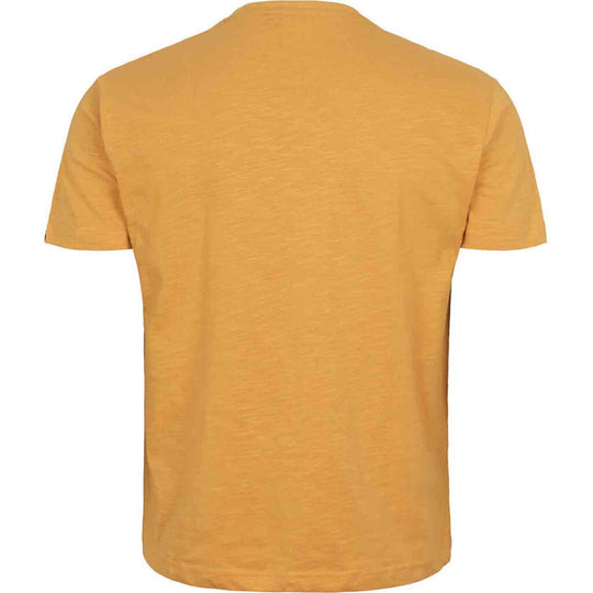 Gelbes T-Shirt mit Druck von Allsize in Rückansicht mit kurzärmeligem Design