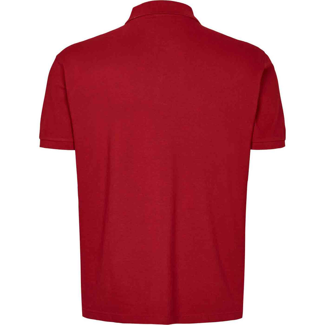 Rotes polo shirt von Allsize mit kurzem Arm und klassischem Kragen in Rückansicht