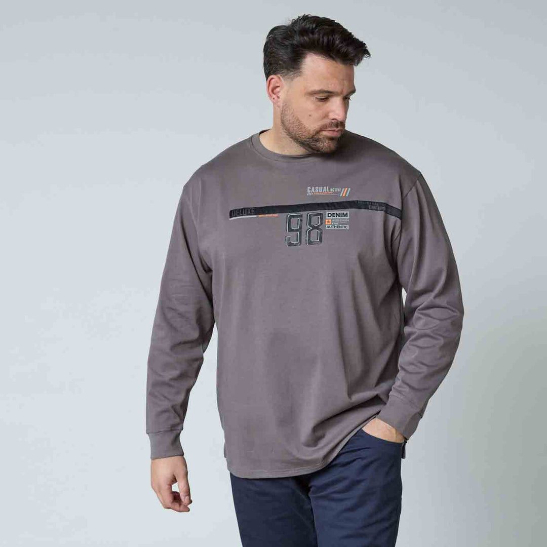 T-Shirt Langarm mit Druck Herren Übergröße von Allsize in Grau mit modernem Frontprint